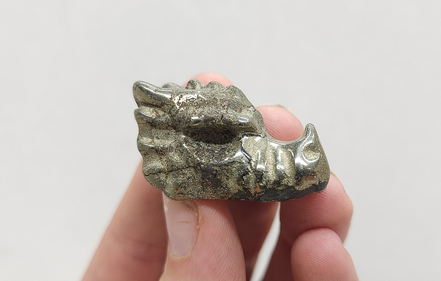 Pyrite Dragon head