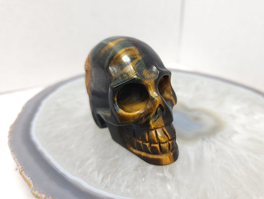 Tigers eye skull (gold and blue)