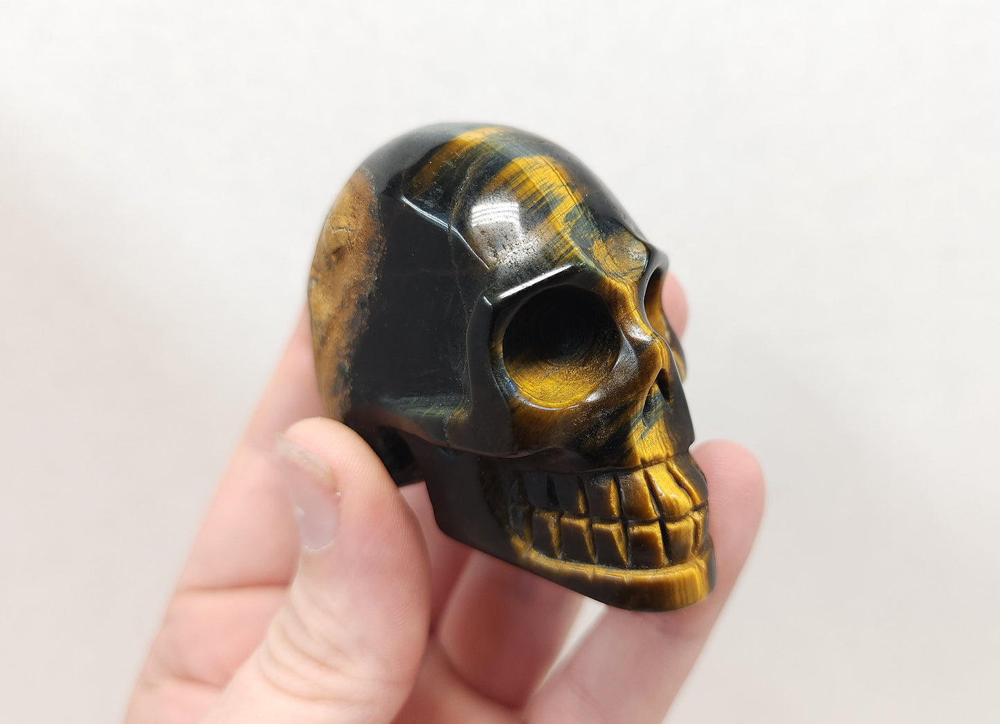 Tigers eye skull (gold and blue)