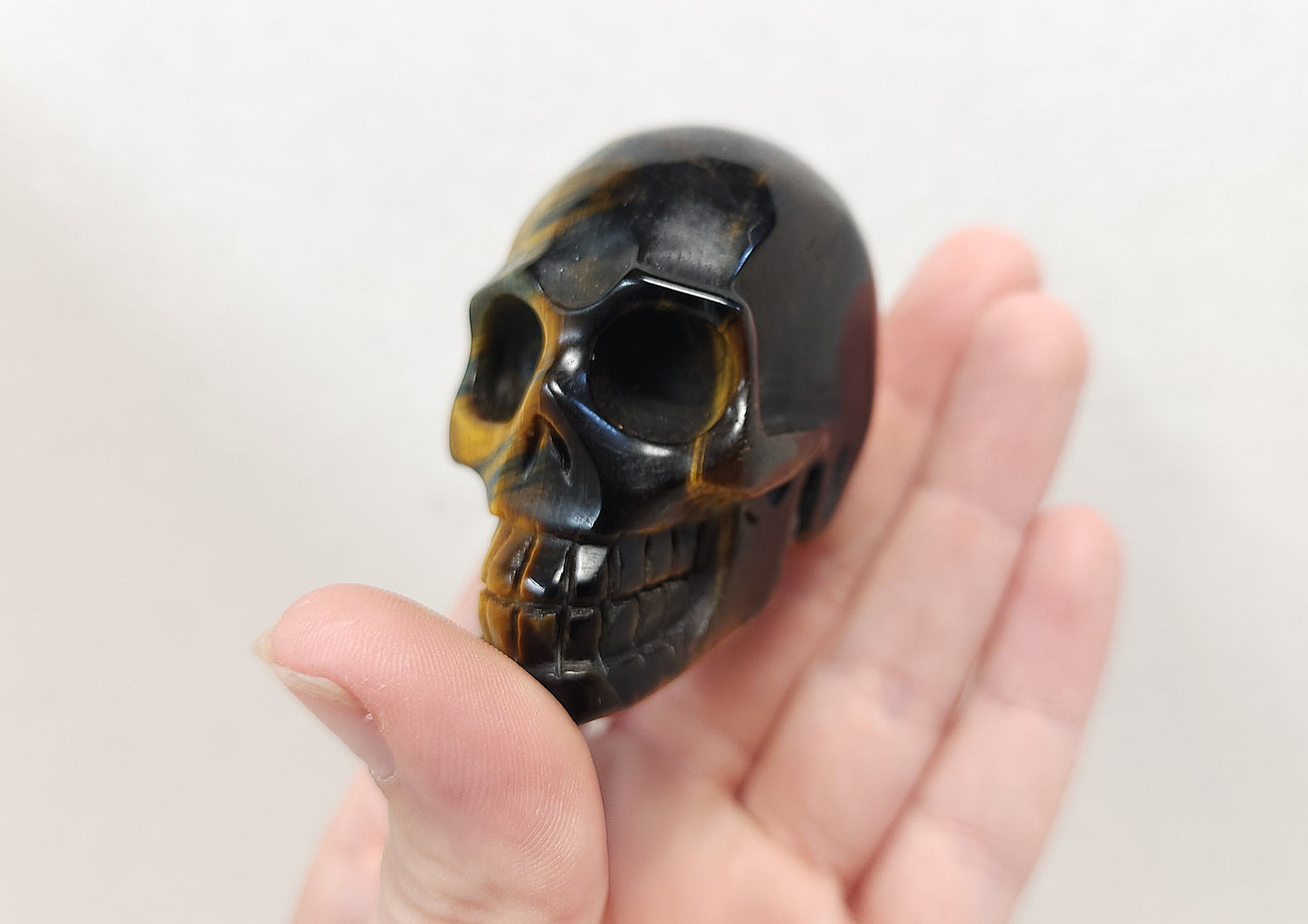 Tigers eye skull (gold and blue)