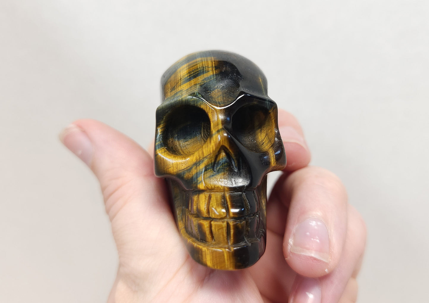 Tigers eye skull (gold and blue)