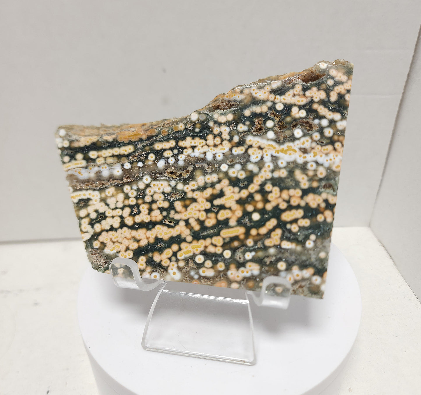 Ocean Jasper slab #5