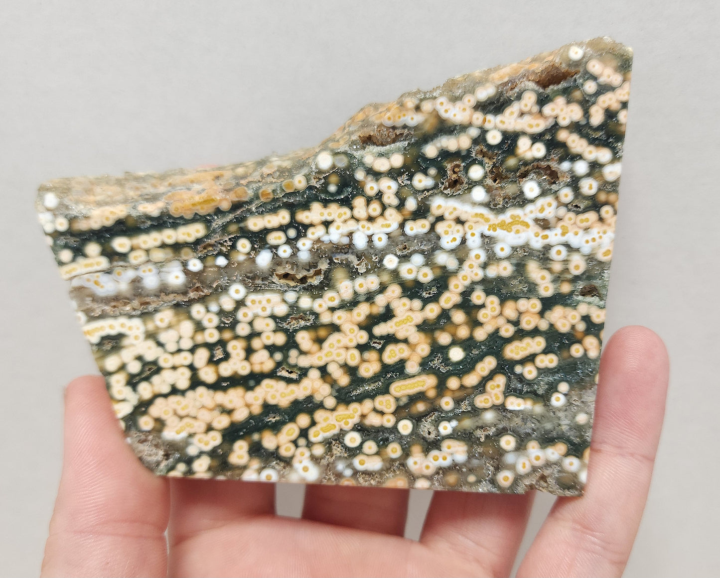 Ocean Jasper slab #5