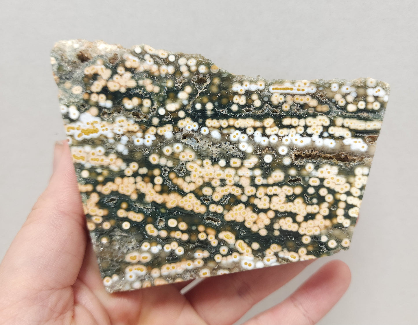 Ocean Jasper slab #5