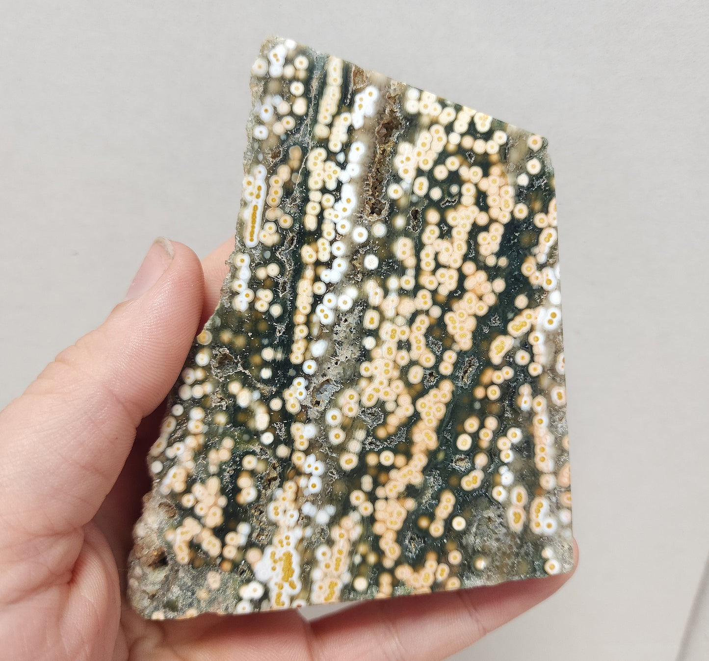 Ocean Jasper slab #5