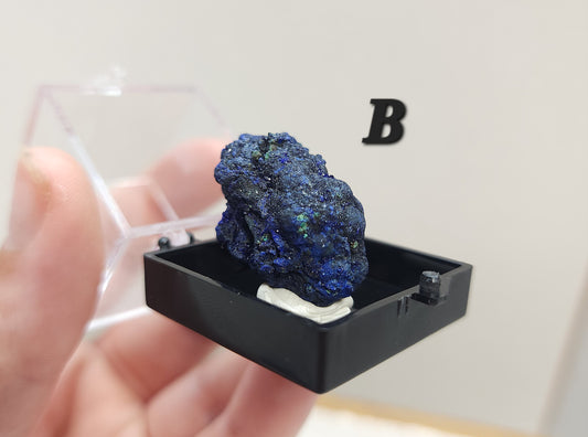 Azurite in Specimen Box #2