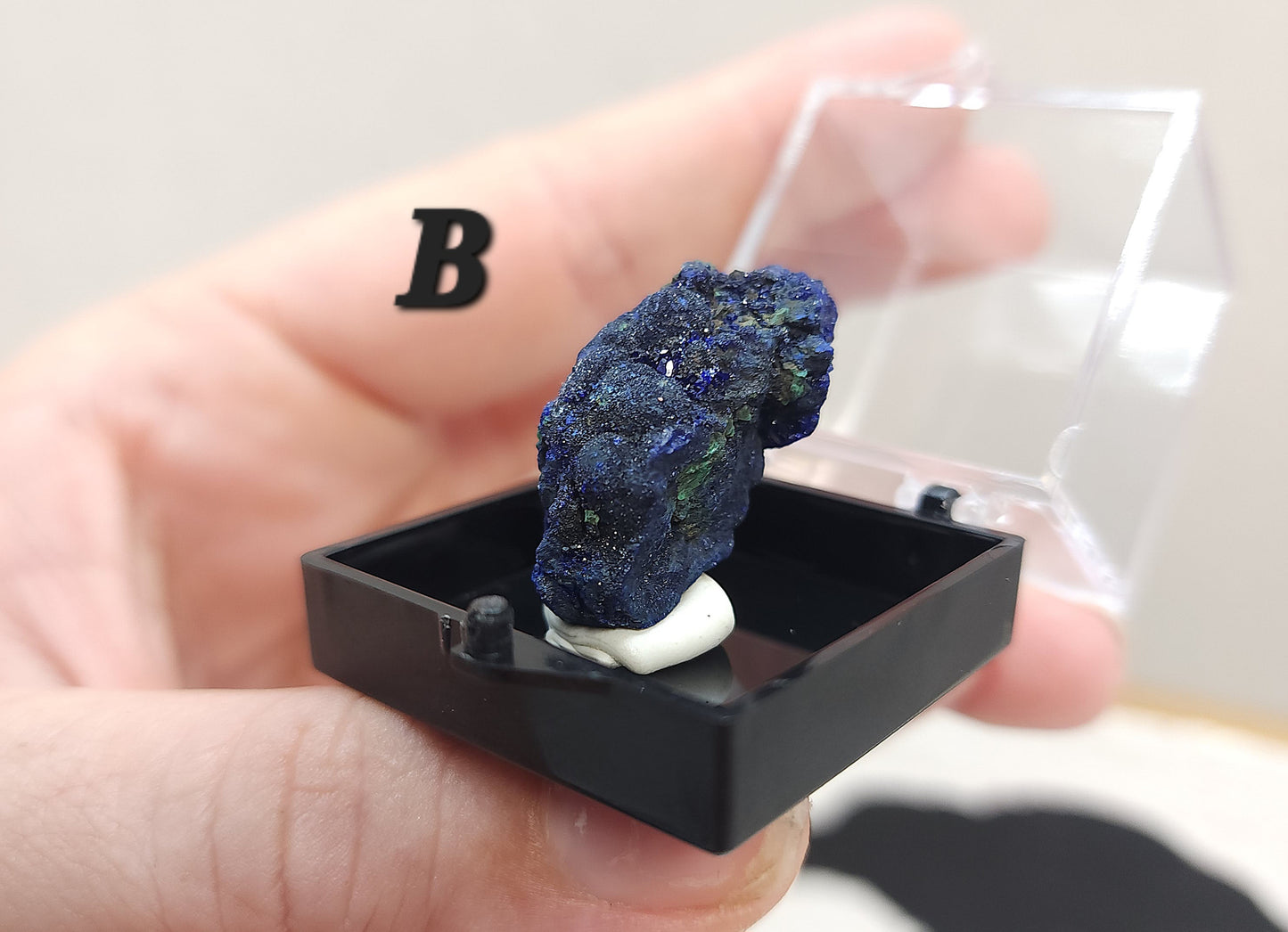 Azurite in Specimen Box #2