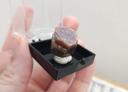 Raw Ruby in Specimen Box #1