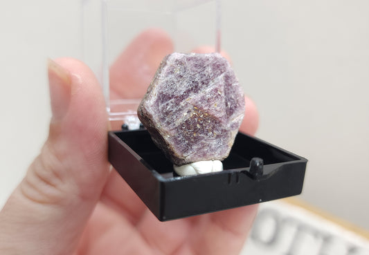 Raw Ruby in Specimen Box #2