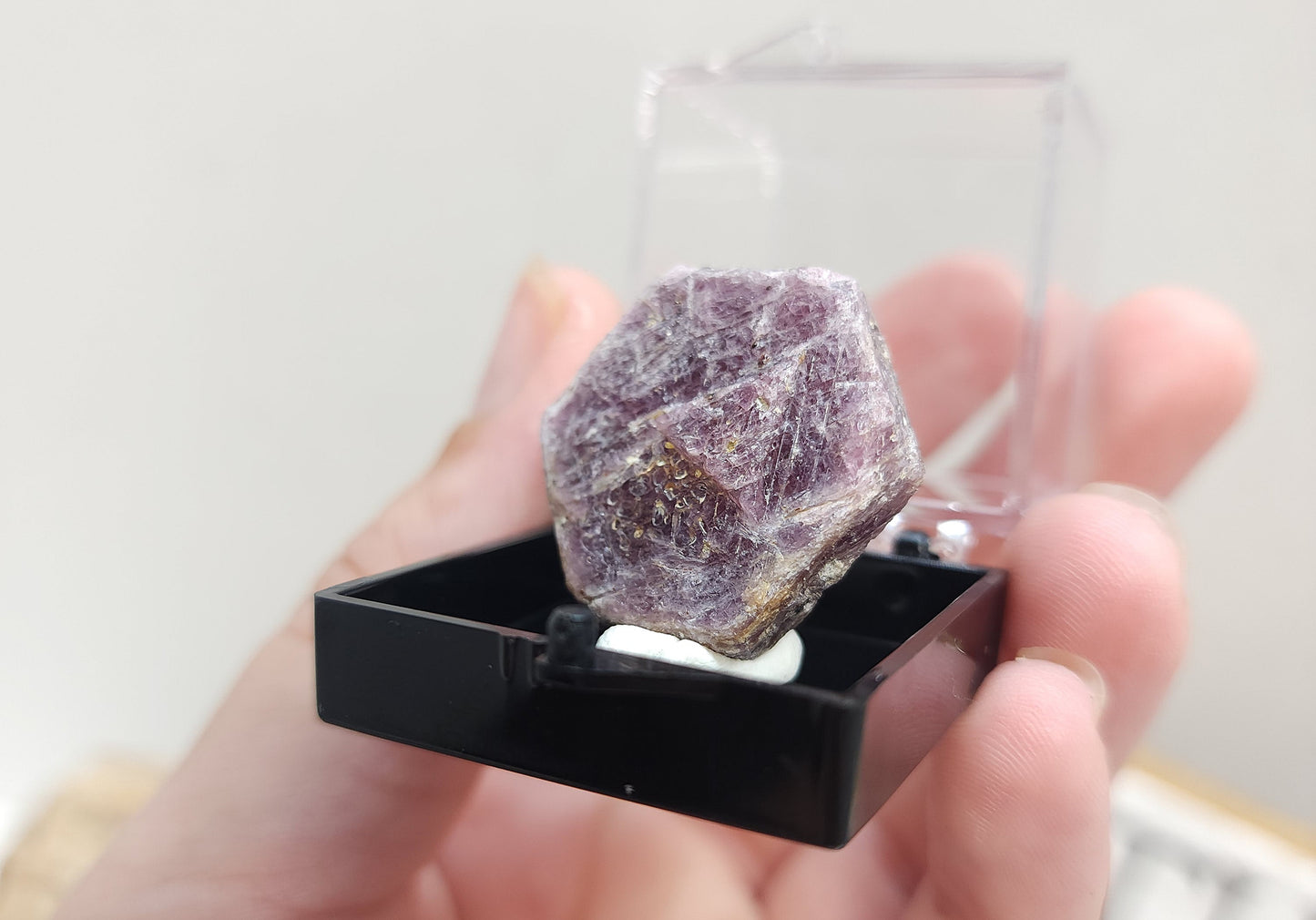 Raw Ruby in Specimen Box #2