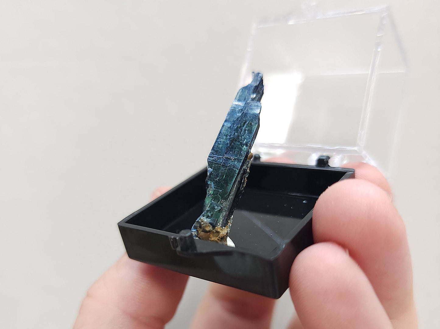 Vivianite in Specimen Box #4