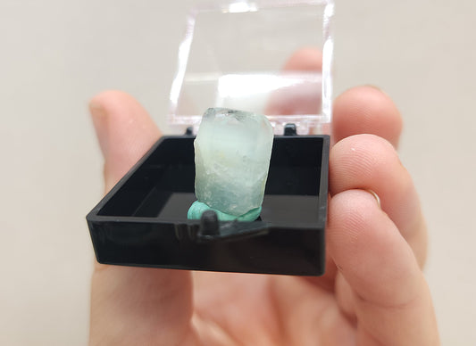 Aquamarine in Specimen Box #1