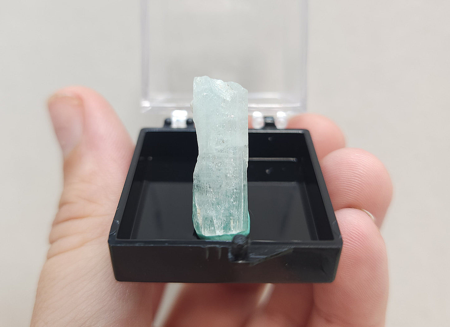 Aquamarine in Specimen Box #6