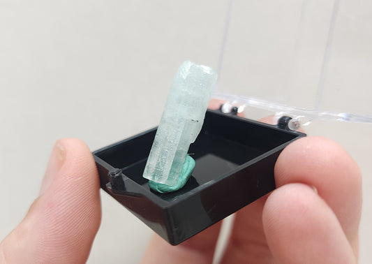 Aquamarine in Specimen Box #6