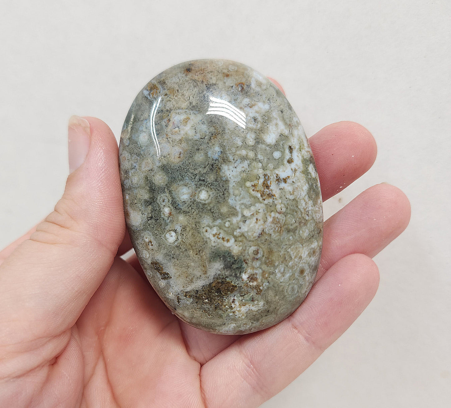 Ocean Jasper Palmstone #1