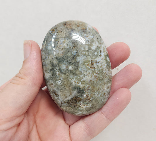 Ocean Jasper Palmstone #1