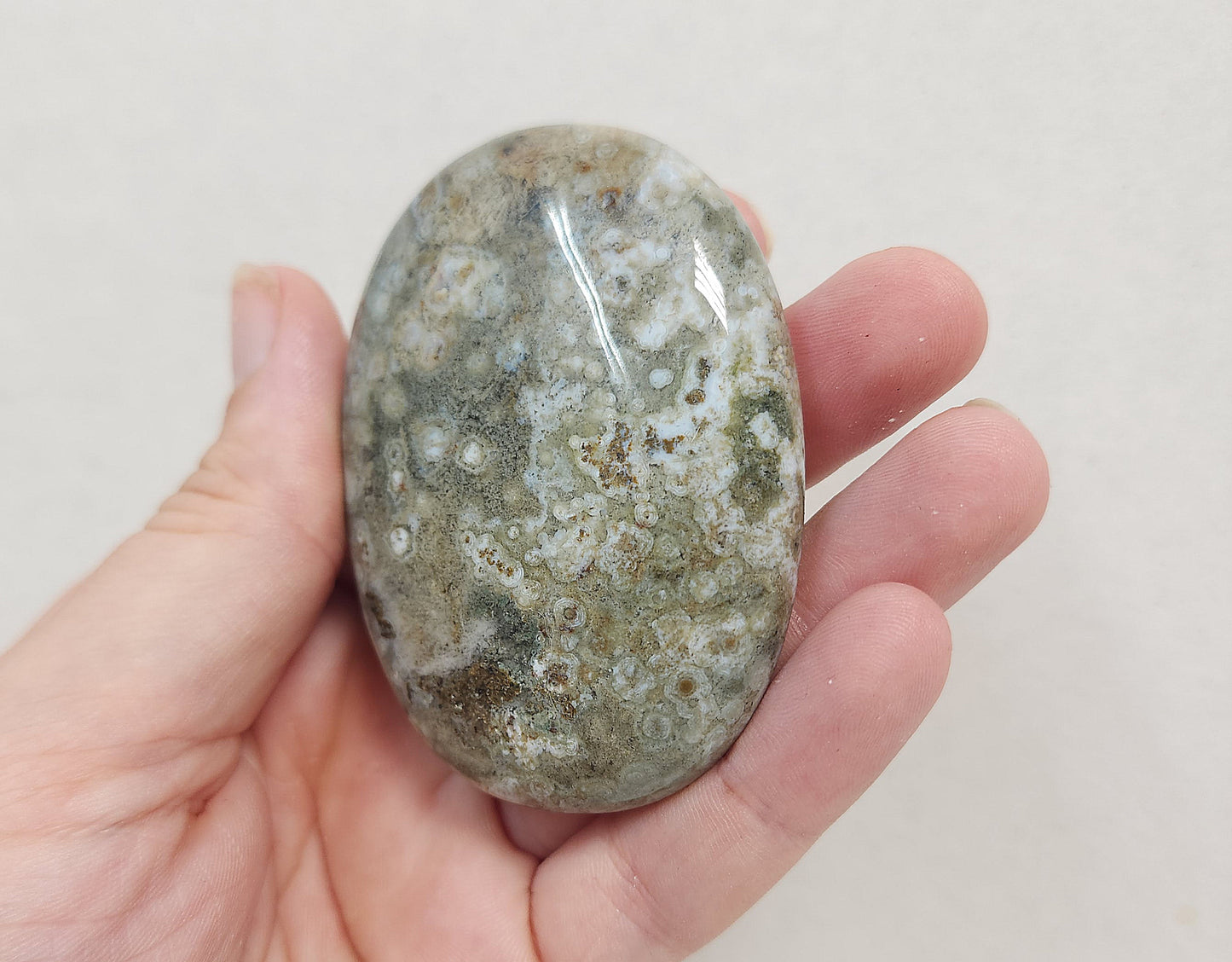 Ocean Jasper Palmstone #1