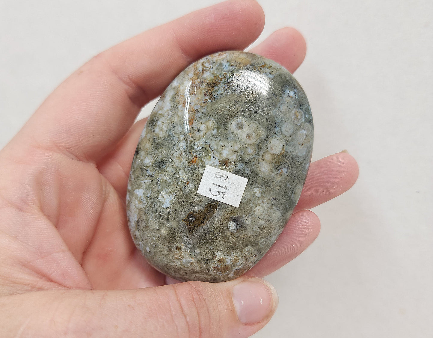 Ocean Jasper Palmstone #1