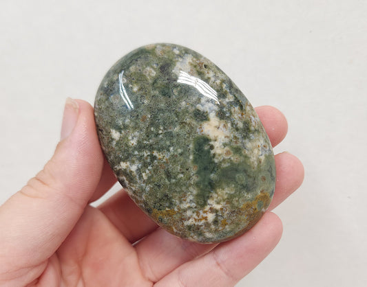 Ocean Jasper Palmstone #3