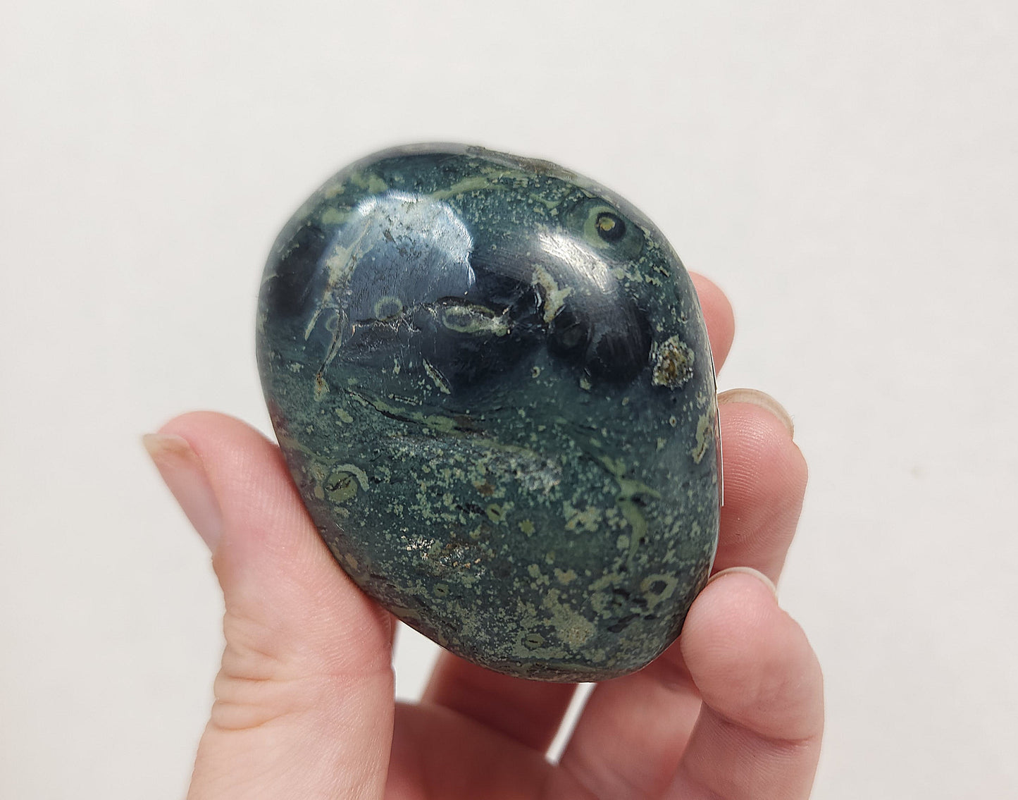 Kambaba "Crocodile" Jasper Palmstone #1