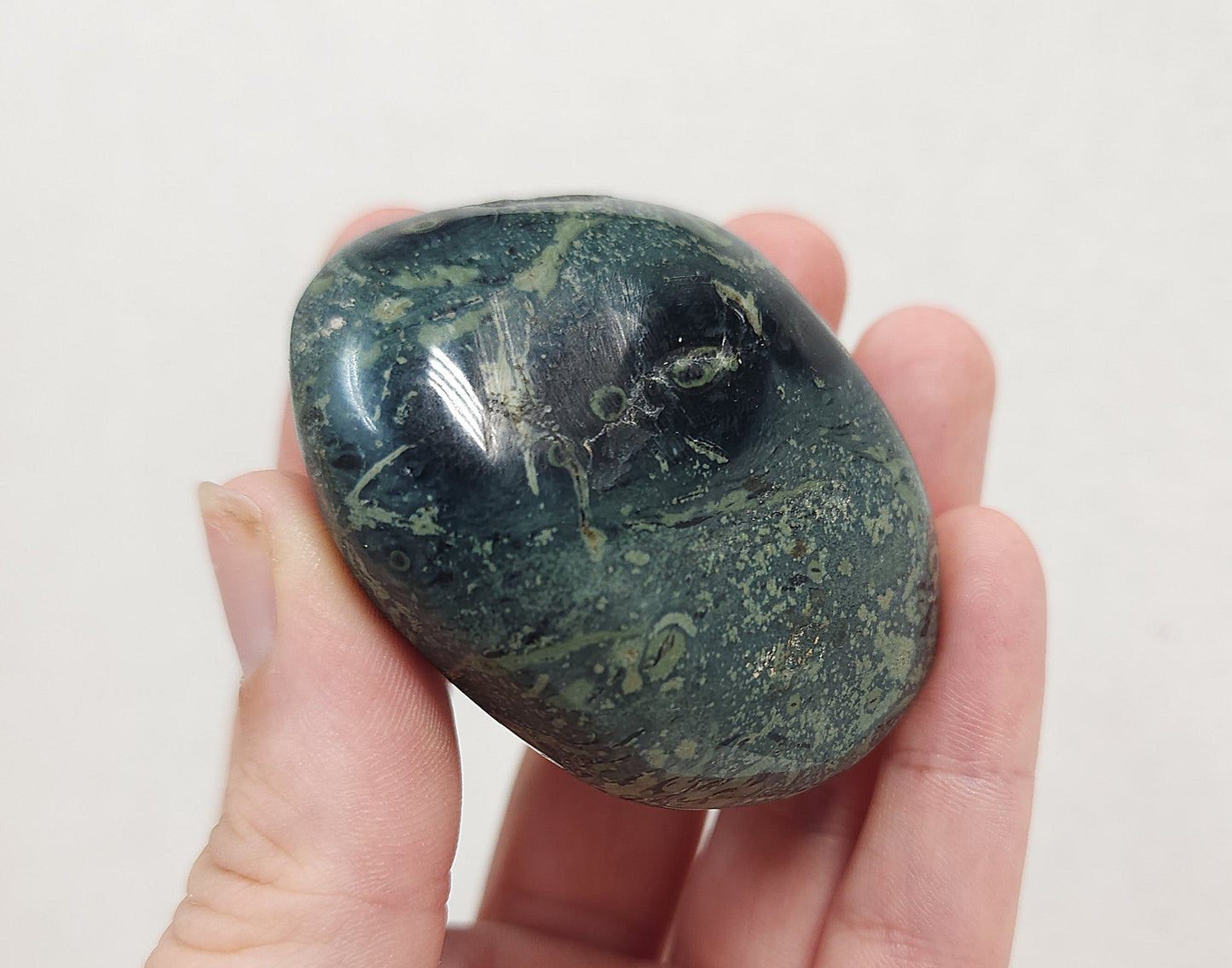 Kambaba "Crocodile" Jasper Palmstone #1