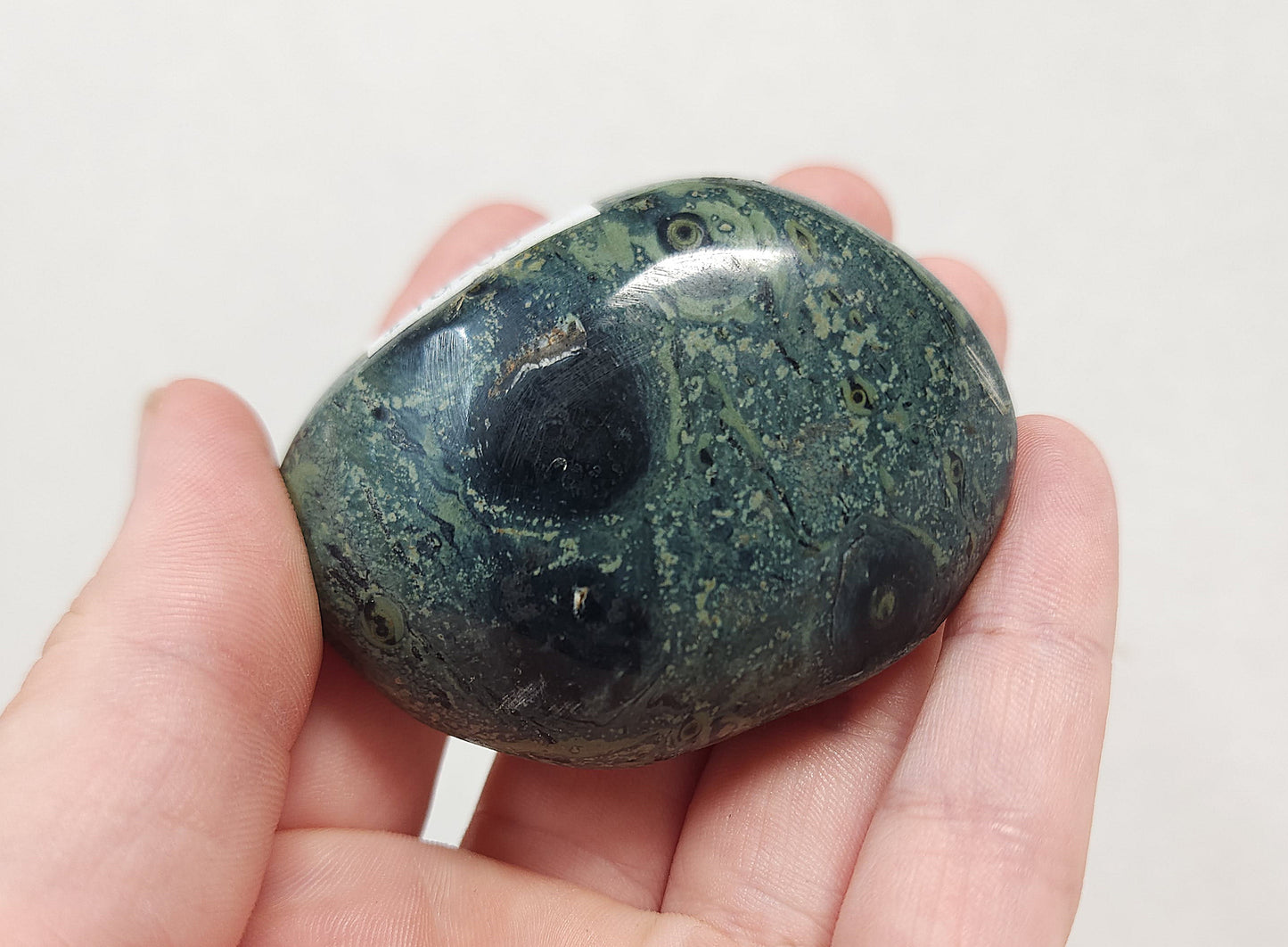 Kambaba "Crocodile" Jasper Palmstone #1