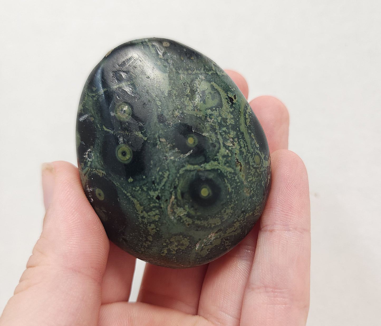 Kambaba "Crocodile" Jasper Palmstone #2