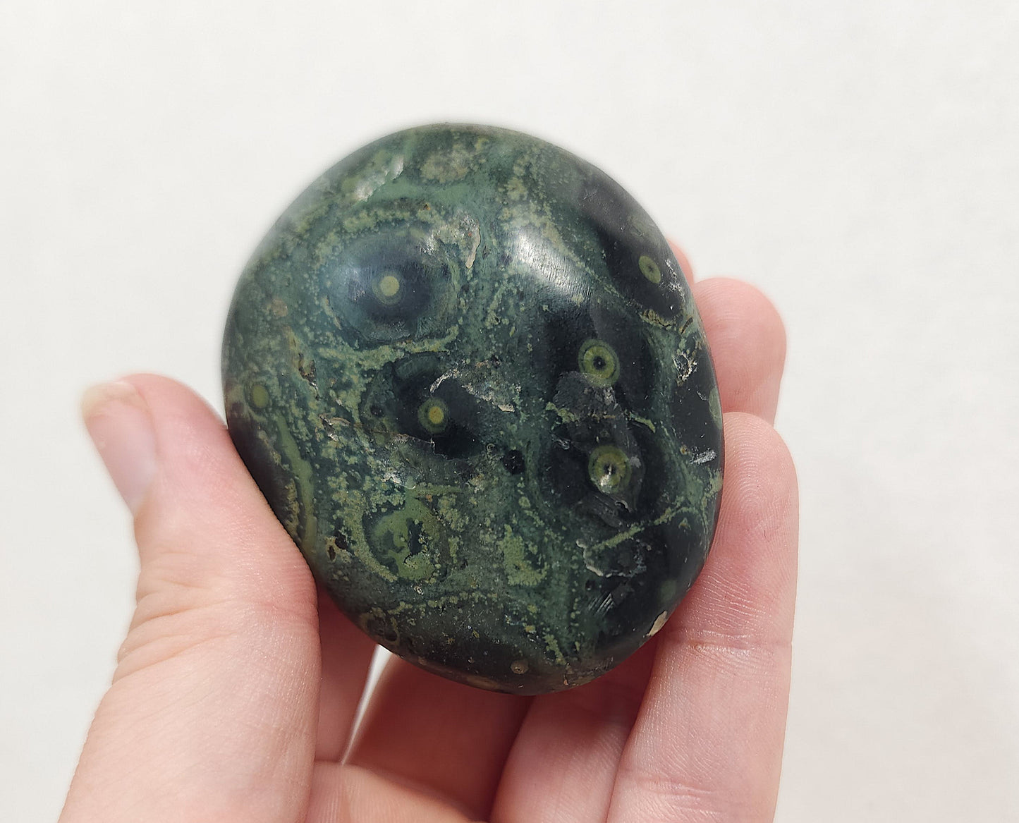 Kambaba "Crocodile" Jasper Palmstone #2