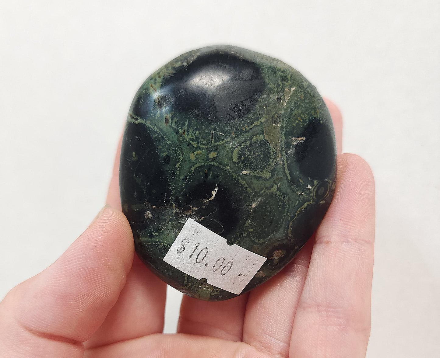 Kambaba "Crocodile" Jasper Palmstone #2