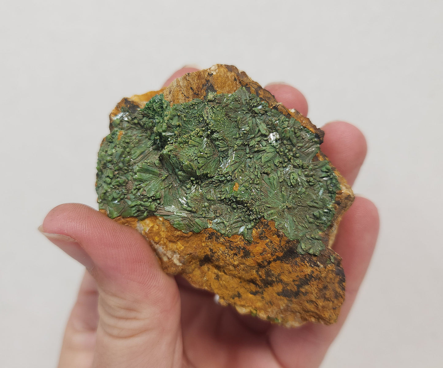 Pyromorphite #3