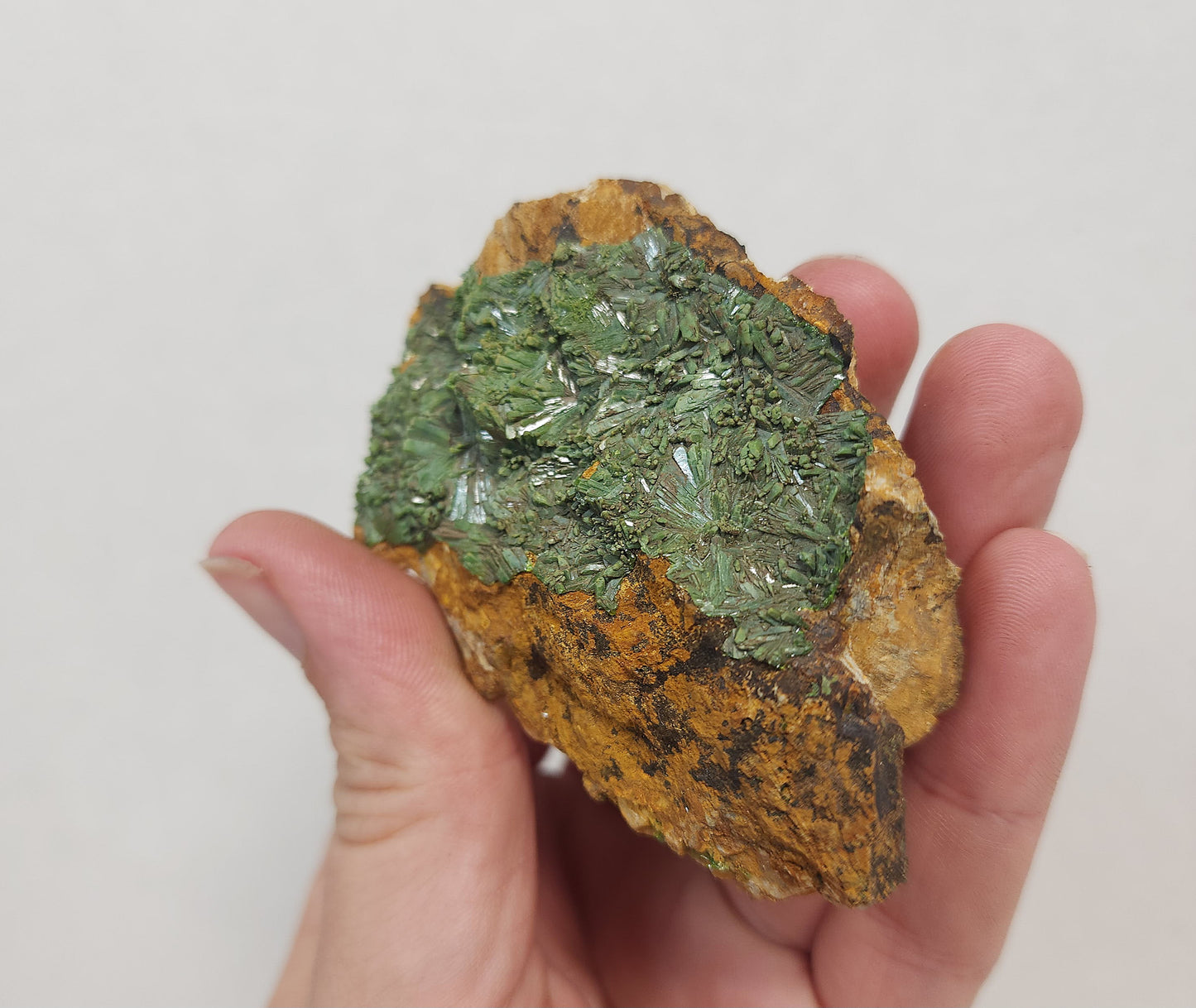 Pyromorphite #3