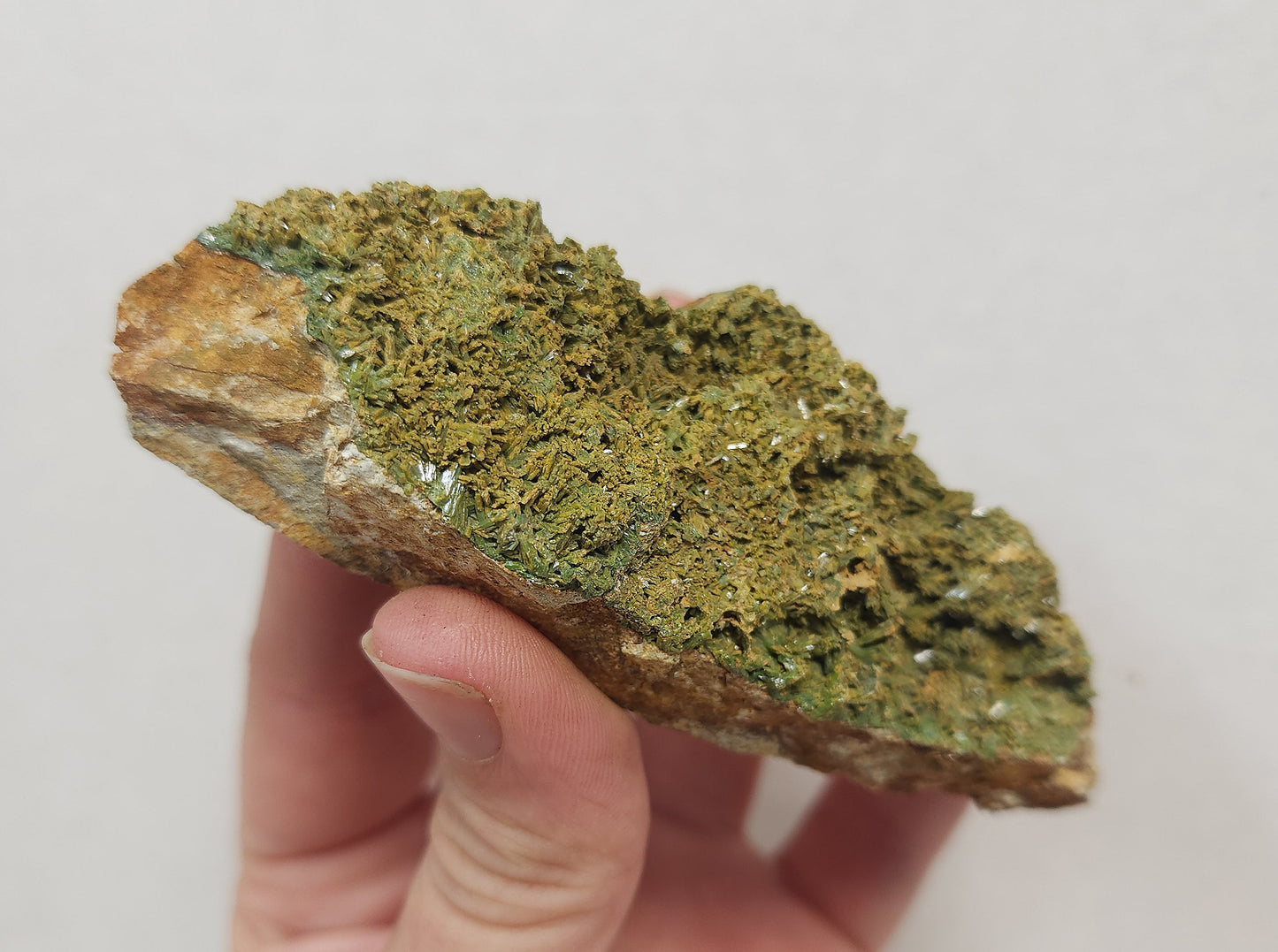 Pyromorphite #5