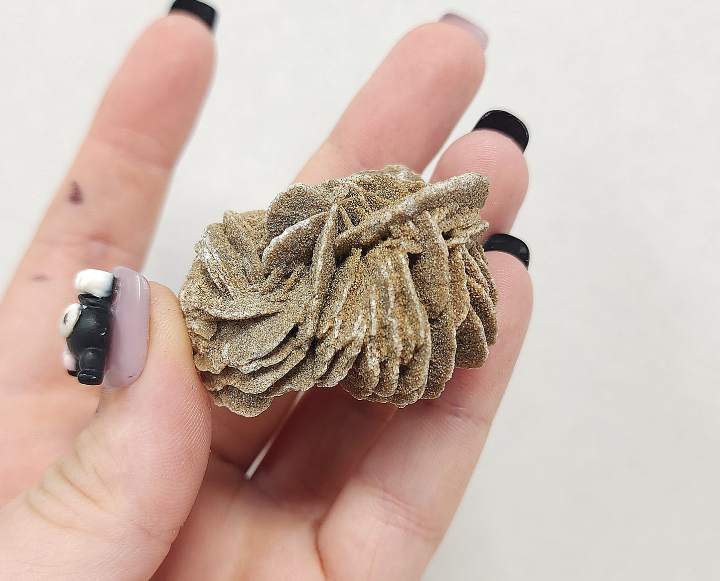 Desert Rose Specimen #2