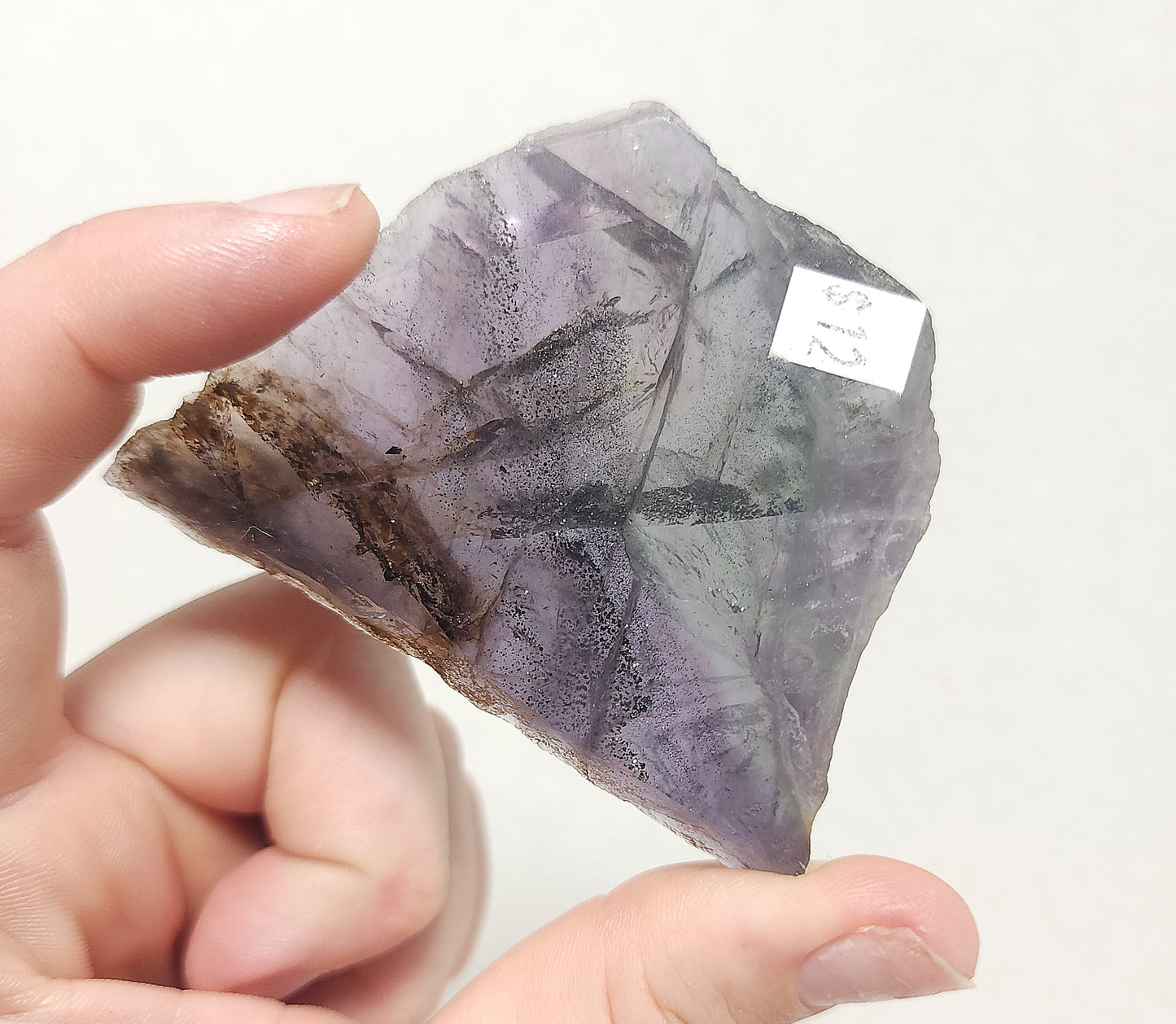 Fluorite with Pyrite Slab #1