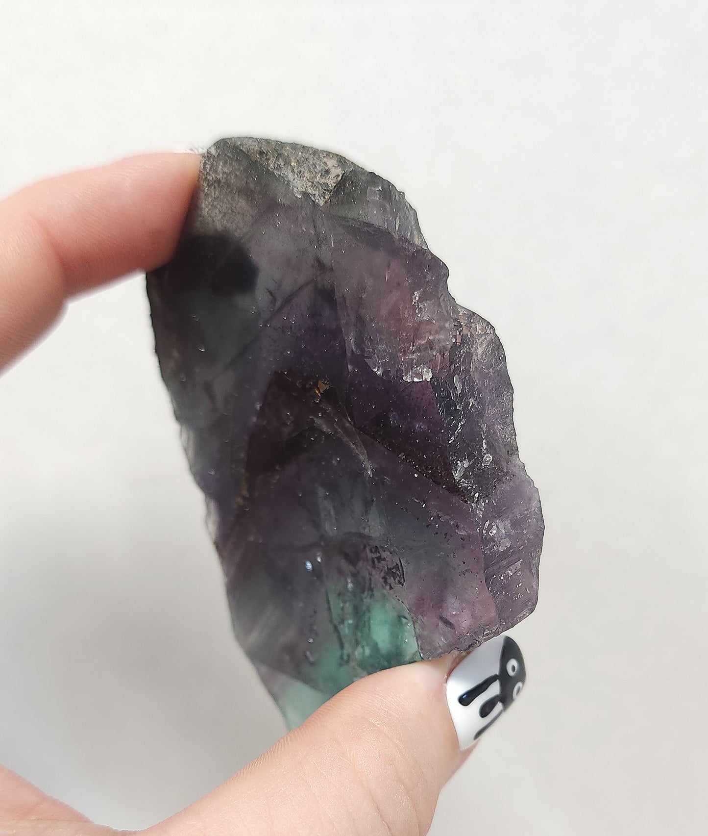 Fluorite with Pyrite Slab #2