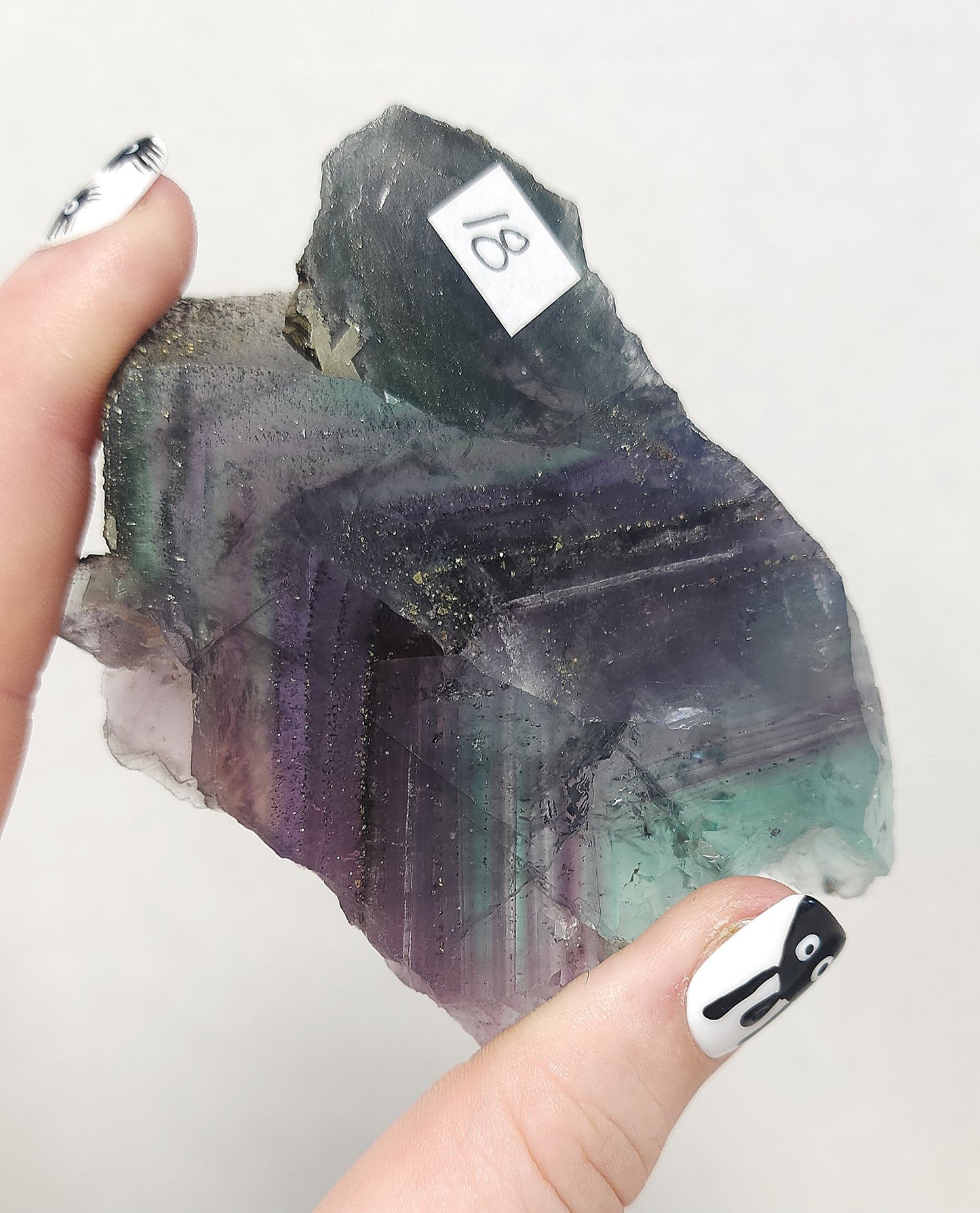 Fluorite with Pyrite Slab #2