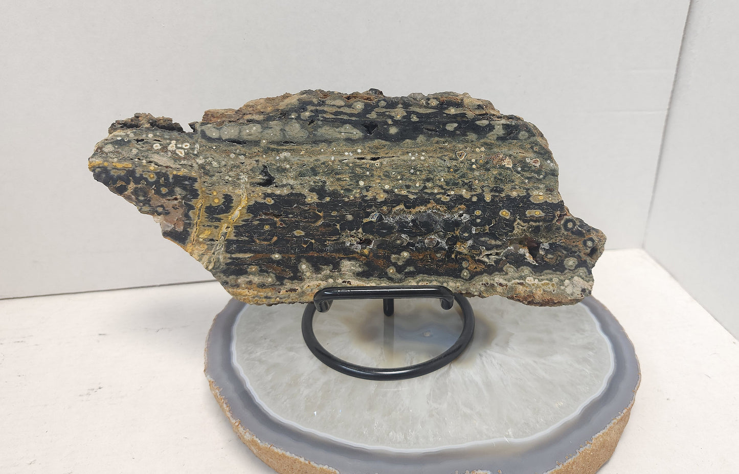 Ocean Jasper slab #1