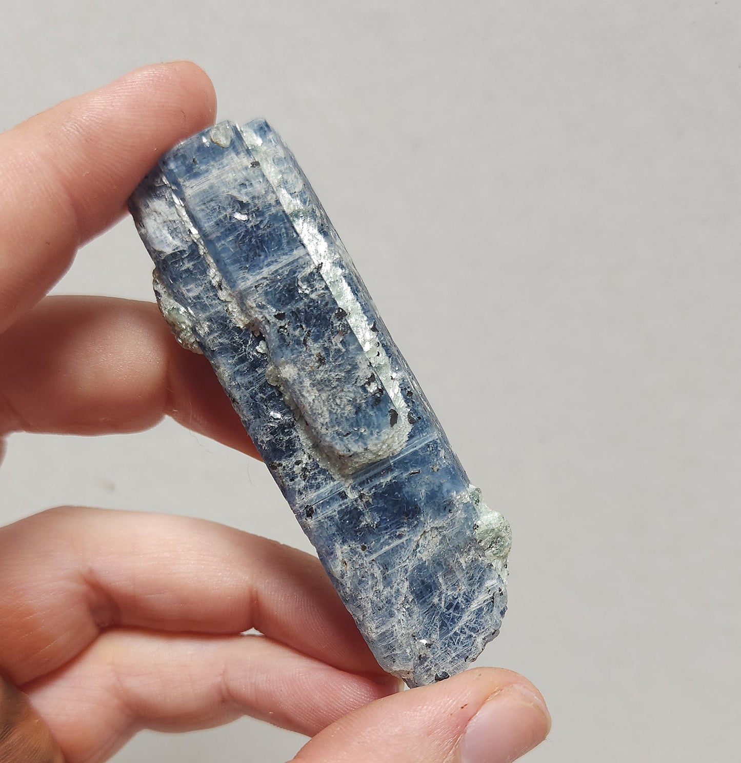 Blue Kyanite Roughstone #1