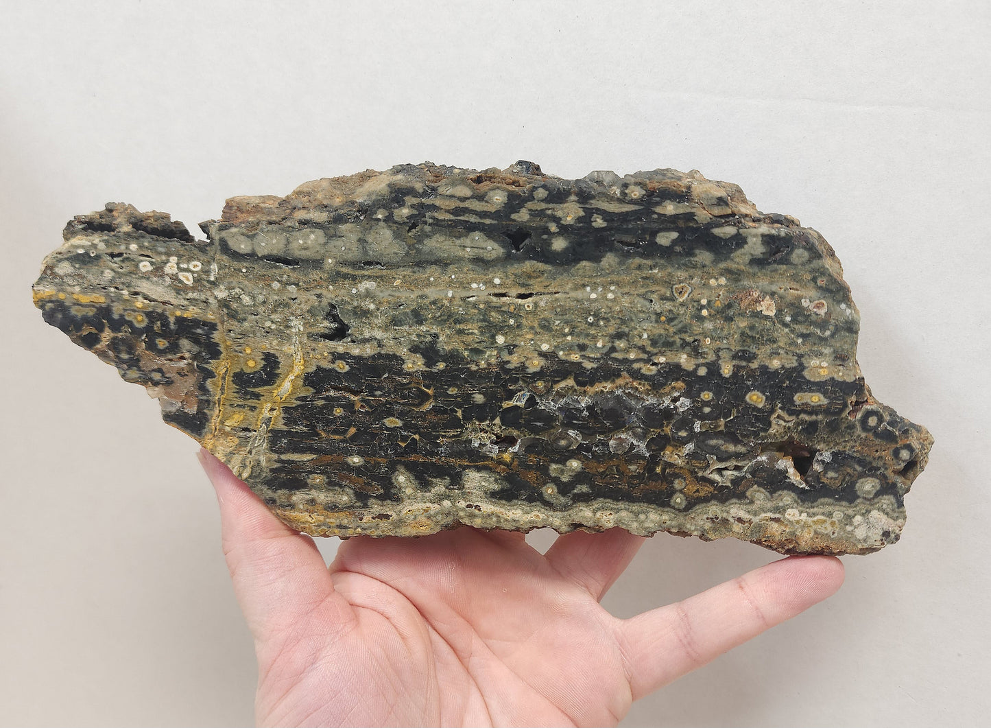 Ocean Jasper slab #1