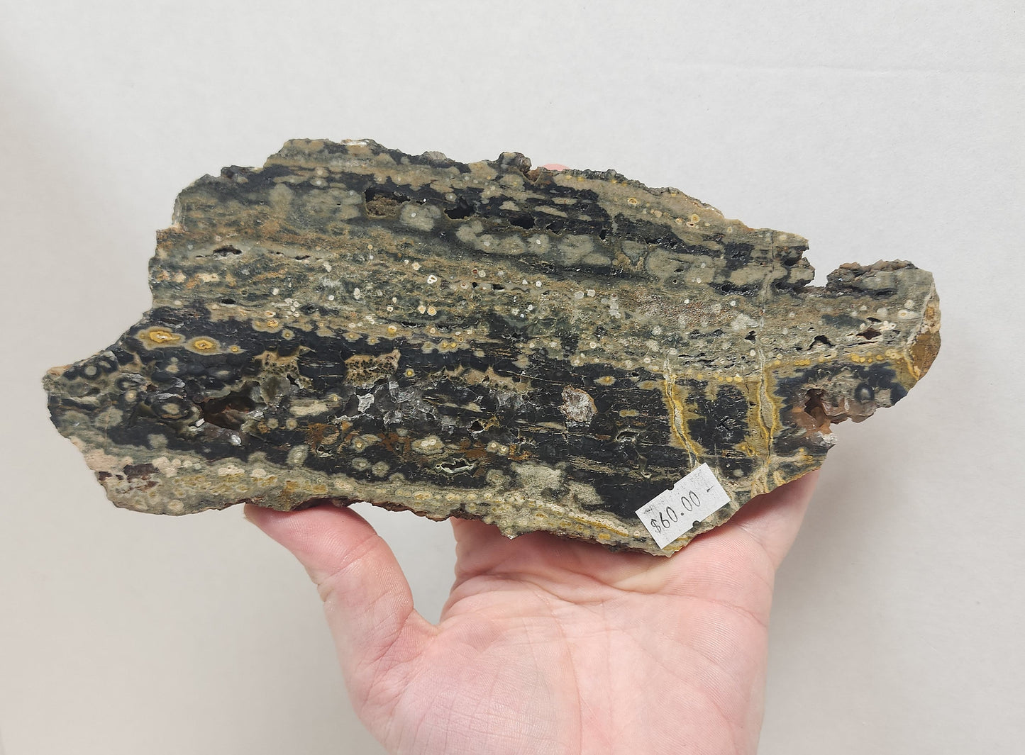 Ocean Jasper slab #1