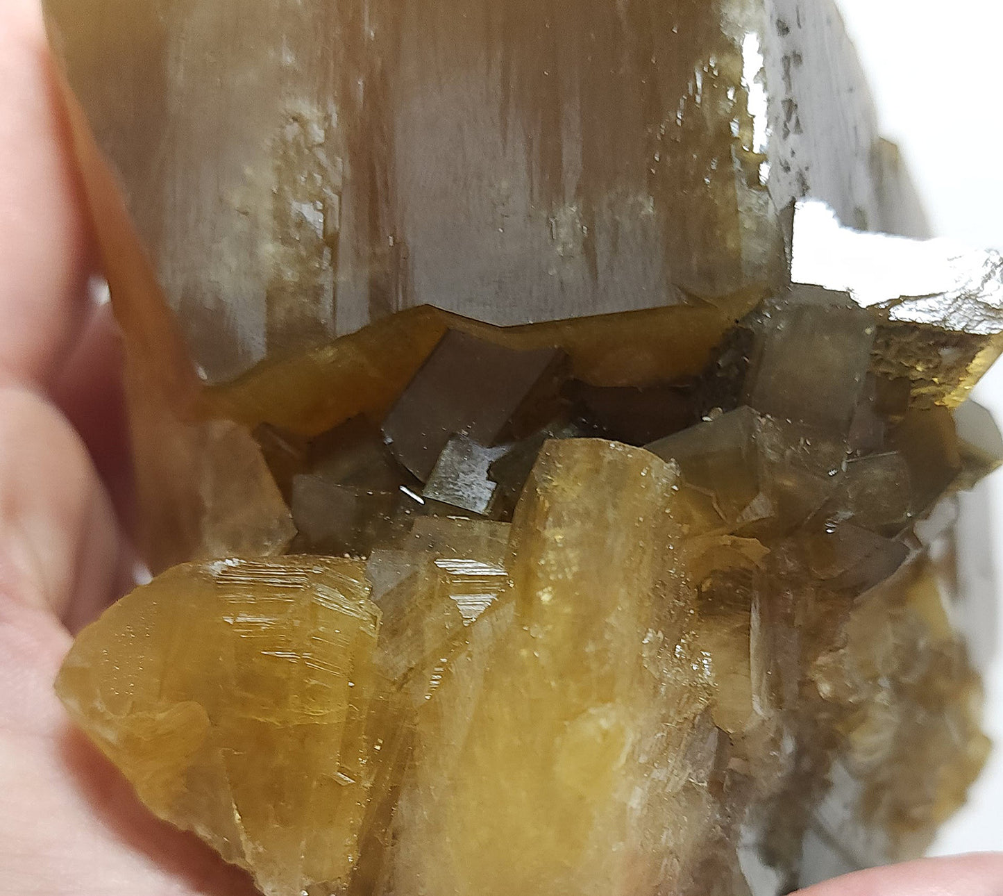 Golden Tubular Barite #1